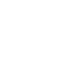 Github Repository Link 